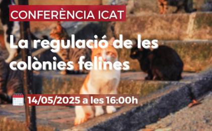 El Colegio programa una conferencia para analizar la nueva normativa sobre colonias felinas